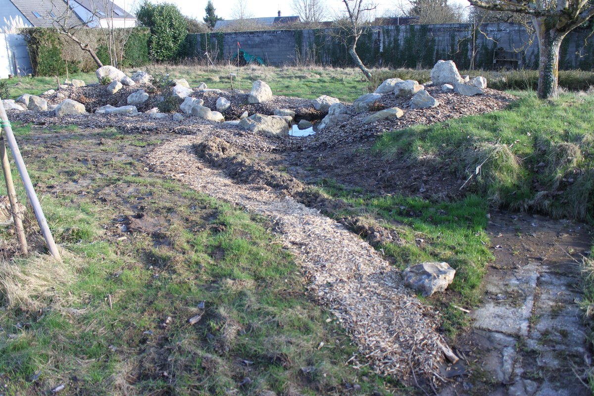 jardin_sud_27.JPG