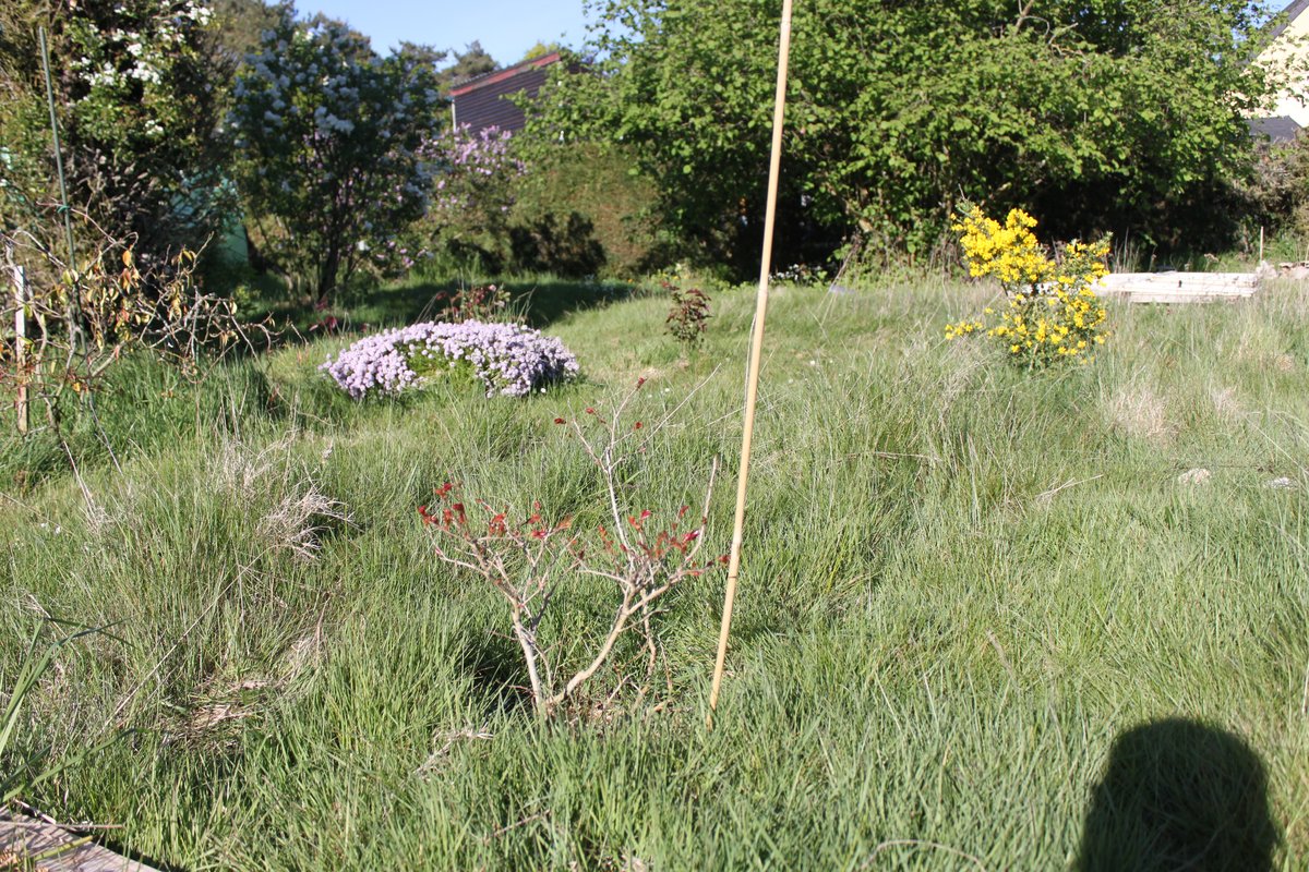 jardin_sud_28.JPG